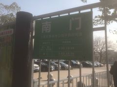 -共青国家森林公园-南大门停车场