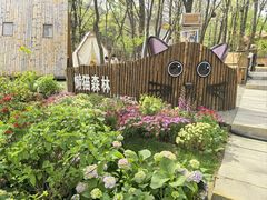 -沂蒙山旅游区云蒙景区(蒙山国家森林公园)