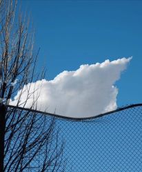 -华美整形美容医院