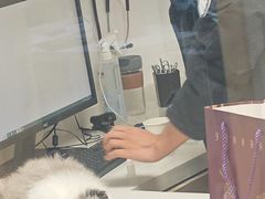-艾贝尔宠物医院 ·中兽医·宠保定点(北门桥店)
