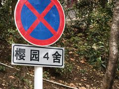 -武汉大学-樱园