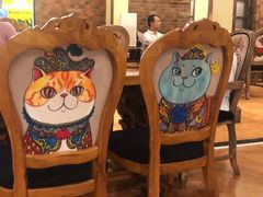 -more than meow吴止猫主题餐厅(承德 中船汇店)