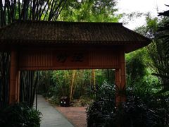 -大屏嶂森林公园