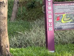 -王借岗森林公园