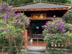 -广州白江湖森林公园