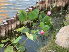 -怡园·园林私房菜