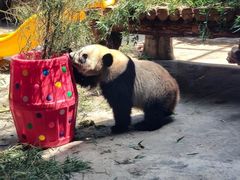 -石家庄市动物园