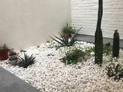 -禾康家蛋糕店
