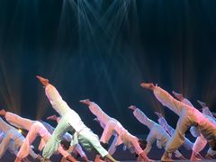 -江西省话剧团经典剧场