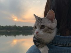 -美兰湖景区