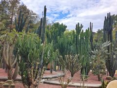 -深圳仙湖植物园