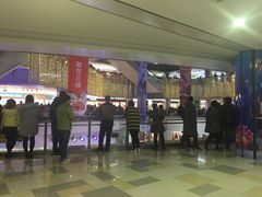 -鹏欣水游城