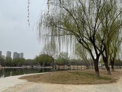 -太阳宫公园