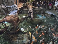 -北京海洋馆