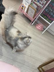 -Beauty Nails 美甲美睫皮肤管理