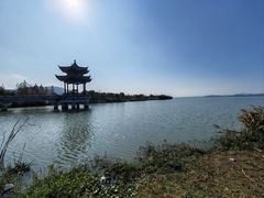 -漩门湾国家湿地公园