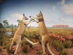 -陕西自然博物馆