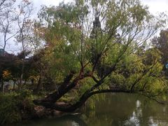 -狼山风景名胜区