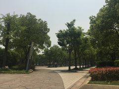 -新江湾城公园