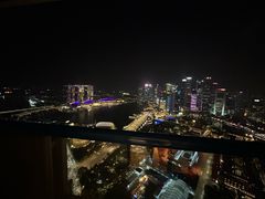 -新加坡瑞士史丹福酒店