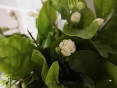 -万达影城(南昌红谷滩IMAX激光店)