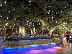 -杭州开元森泊度假乐园