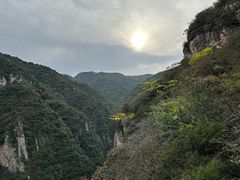 -五龙洞国家森林公园