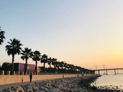 -宝安西湾红树林湿地公园