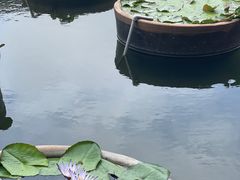 -石峰岩寺