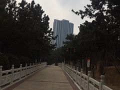 -林海公园