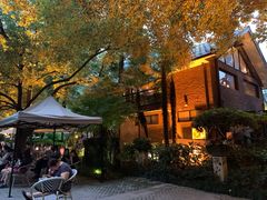 -静安公园(静安寺街道)