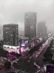 -脱白计划纹身集团