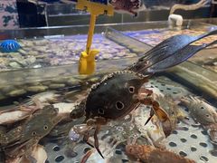 -领鲜活海鲜榴莲自助火锅(东门店)