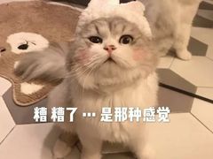-陳磊蛋糕(巴黎店)