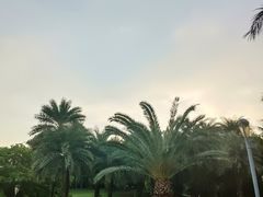-深圳湾公园(南山区)