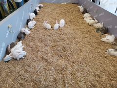 -利客来李村购物中心