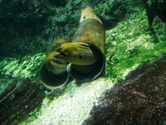 -北戴河圣蓝海洋公园