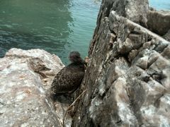 -海驴岛(荣成市)