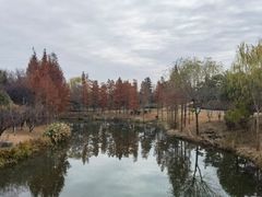 -东台西溪天仙缘景区