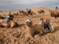 -亿利库布其七星湖沙漠生态旅游区