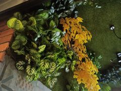 -湘当爱·鲜煮现炒(松岗立业路店)