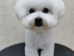 -乐琪宠物(青塔西路店)