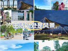 -彩虹沙滩