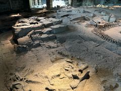 -自贡恐龙博物馆