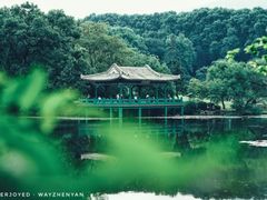 -紫霞湖公园