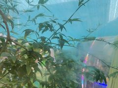 -百味地锅鸡(二店·财校分店)