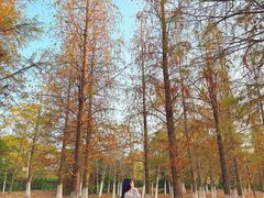 -艾溪湖湿地公园