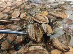 -海天盛宴潮汕蒸汽海鲜高端自助形象店