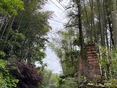 -缙云山景区