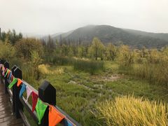 -泸沽湖国家级风景名胜区走婚桥